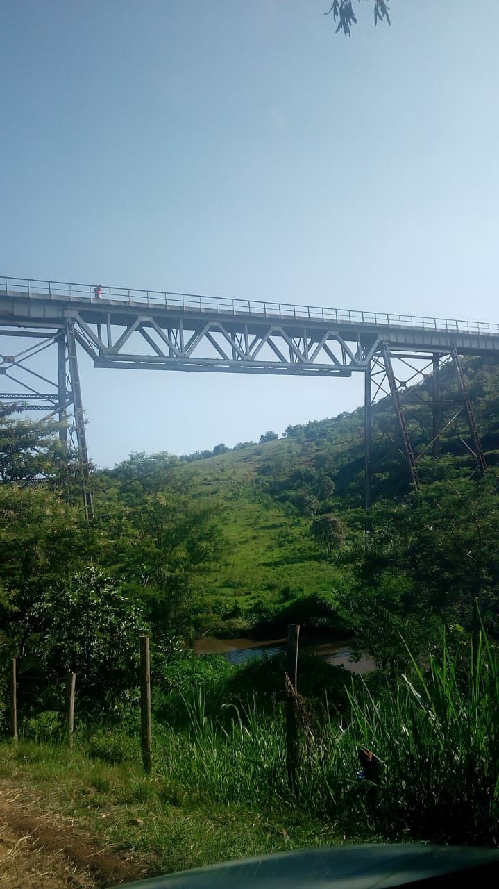 Legal Practice Background